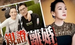 刘大锤周三最新爆料视频,周三最新爆料视频深度解析