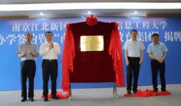 嘉善新思考爆料最新消息,最新消息揭示惊人内幕！