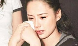 吃瓜明星网红圈道歉了吗,娱乐圈网红集体道歉事件回顾